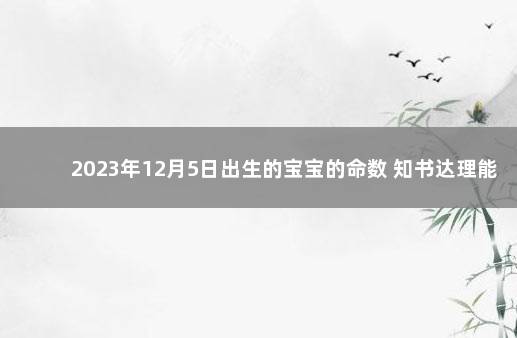 2023年12月5日出生的宝宝的命数 知书达理能力强 9月8日出生的人是什么命