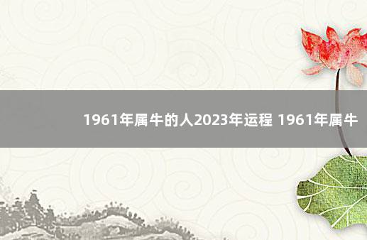 1961年属牛的人2023年运程 1961年属牛2022年运势及运程