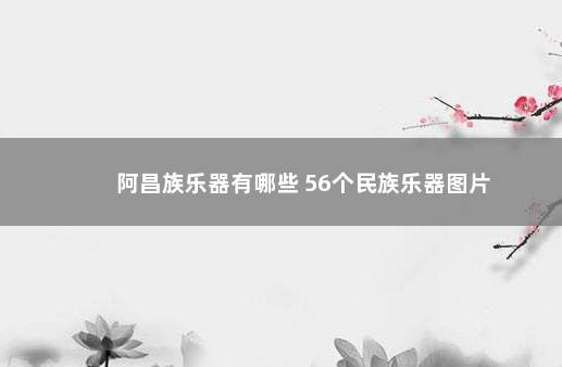 阿昌族乐器有哪些 56个民族乐器图片