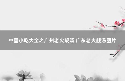 中国小吃大全之广州老火靓汤 广东老火靓汤图片