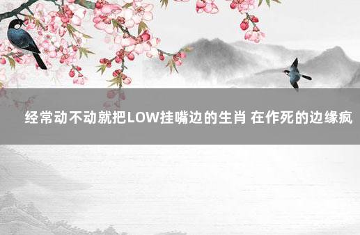 经常动不动就把LOW挂嘴边的生肖 在作死的边缘疯狂试探是什么生肖