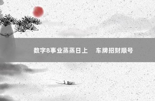 数字8事业蒸蒸日上 车牌招财顺号