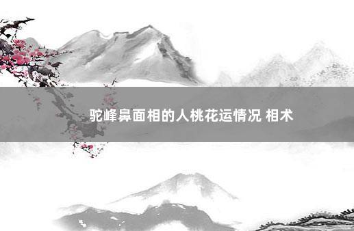 驼峰鼻面相的人桃花运情况 相术