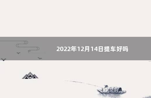 2022年12月14日提车好吗