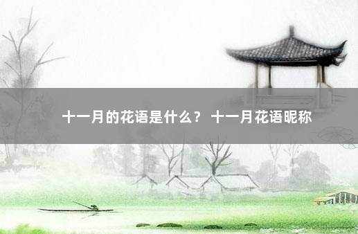 十一月的花语是什么? 十一月花语昵称
