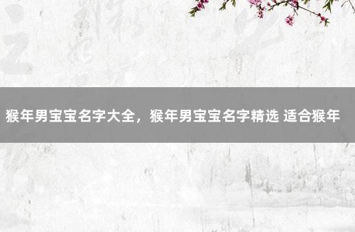 猴年男宝宝名字大全,猴年男宝宝名字精选 适合猴年女宝宝的名字