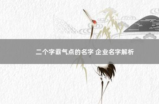 二个字霸气点的名字 企业名字解析