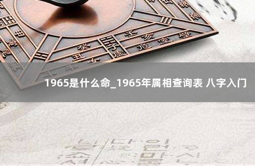 1965是什么命_1965年属相查询表 八字入门