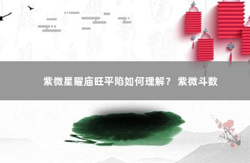 紫微星曜庙旺平陷如何理解? 紫微斗数