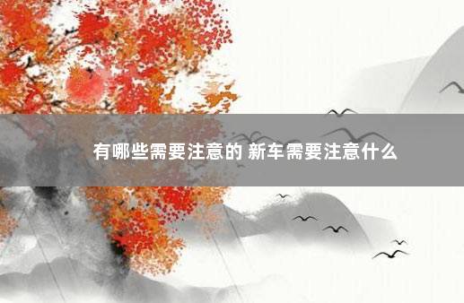 有哪些需要注意的 新车需要注意什么