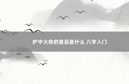 炉中火命的喜忌是什么 八字入门