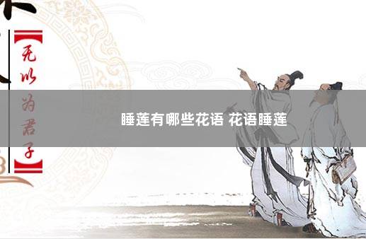 睡莲有哪些花语 花语睡莲