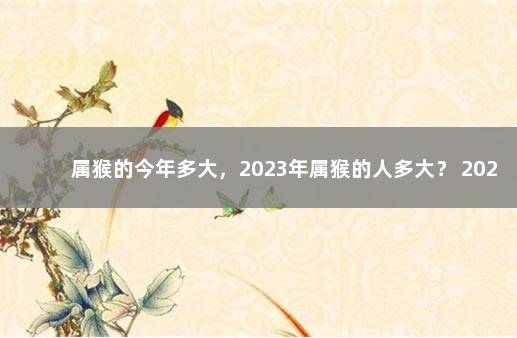 属猴的今年多大,2023年属猴的人多大? 2022年属猴多大