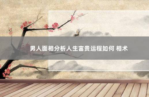 男人面相分析人生富贵运程如何 相术