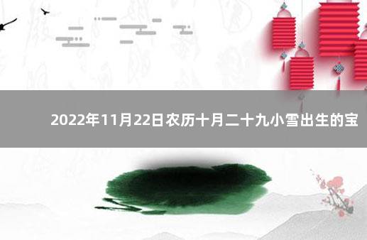 2022年11月22日农历十月二十九小雪出生的宝宝名字 2022年1月25日出生的宝宝