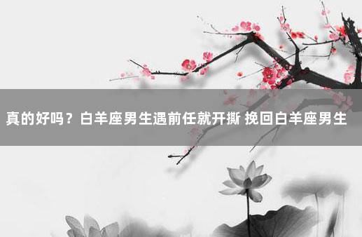 真的好吗?白羊座男生遇前任就开撕 挽回白羊座男生的狠招
