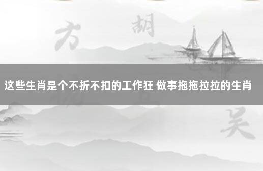 这些生肖是个不折不扣的工作狂 做事拖拖拉拉的生肖
