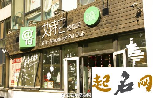 宠物店名字 吸人眼球的宠物店名字