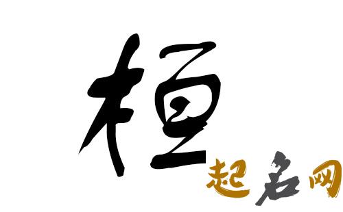 带桓的男孩名字 后面带桓字的男孩名字