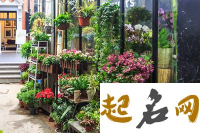 美爆了的花店名字大公开，绝无仅有！ 花店的名字