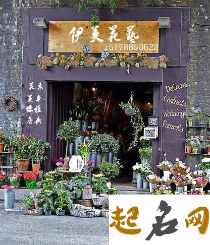 怎样给花店起名字 开花店取名