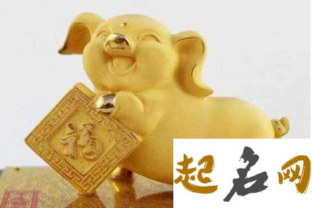 2019猪年有寓意的男宝宝名字 男孩名字大全2019属猪有寓意