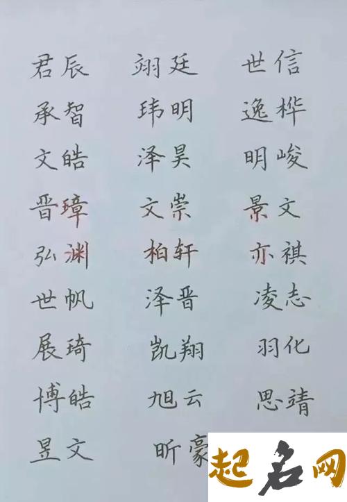 招财不俗气的狗狗名字 有吉祥寓意的狗狗名字