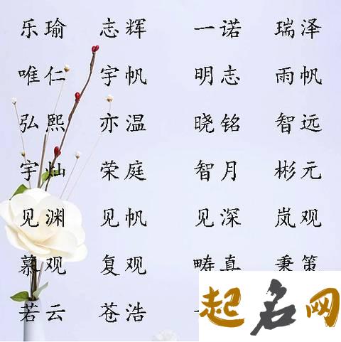 2019年如何取好听的猪宝宝名字 2019猪宝宝男孩名字