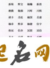 这些男宝宝的名字，好听还不重名！ 好听的男宝宝名字大全