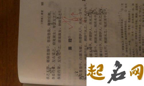 带木字旁的女孩名字有哪些 女孩带木字旁时尚名字