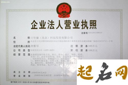 最新的科技公司名字 科技公司名字