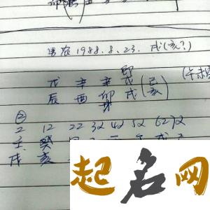 给亥时猪年出生的芦姓女孩起名取什么名字好 猪年亥时起名