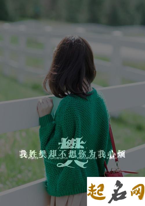 2019年4月份的女孩姓樊 起什么名字好 2019年姓樊有多少人