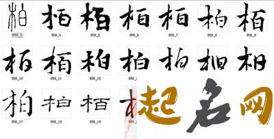 柏姓孩子用什么名字更显韩范儿？ 韩范儿名字大全