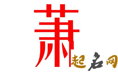 2019萧姓猪年男宝宝取名带什么字好 2019女猪宝取名