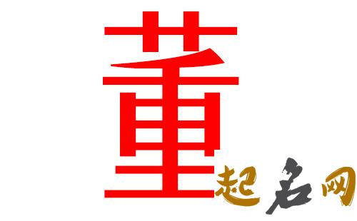 2019董姓猪年男宝宝取名带什么字好 2019年董姓数量