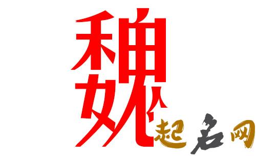 2019魏姓猪年男宝宝取名带什么字好 2019魏姓名人