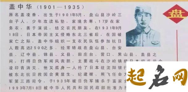 给午时猪年出生的盖姓男孩起名取什么名字好 猪年午时出生的男孩