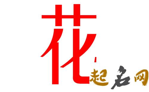 2019花姓猪年男宝宝取名带什么字好 2019于姓猪宝宝取名