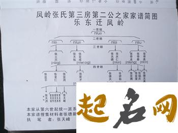 湖北省张氏是按照字辈来取名的吗？ 张氏字辈怎么起名