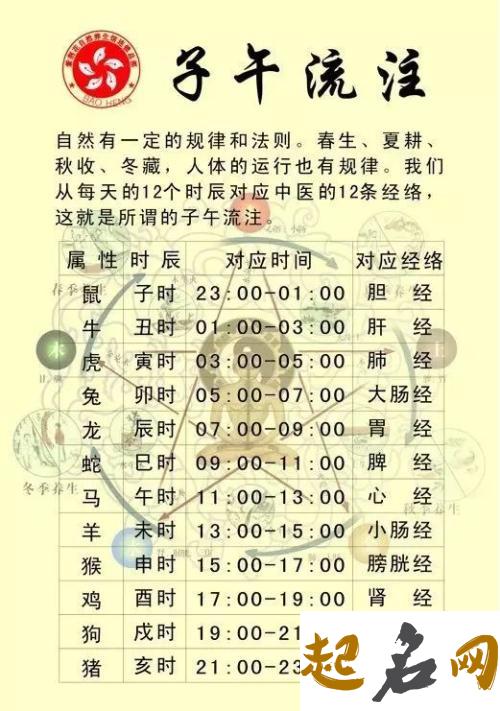 给卯时猪年出生的周姓男孩起名取什么名字好 周姓猪年男孩名字