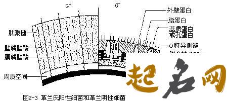 年姓来源有哪些几种情况? 姓氏来源