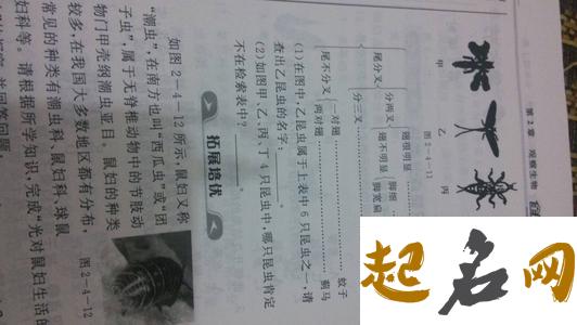 河南省有哪些袁姓氏字辈？怎么排的？ 袁氏字辈