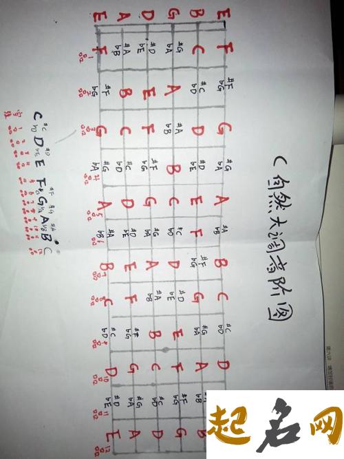 给子时猪年出生的杨姓女孩起名取什么名字好 猪年杨姓名字