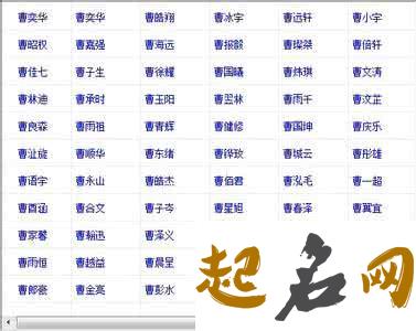 2019年12月份的女孩姓王 起什么名字好 姓王的名字