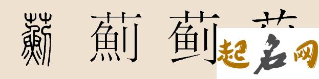 蓟姓起源和始祖分别是怎么记载的？ 张氏的起源与始祖