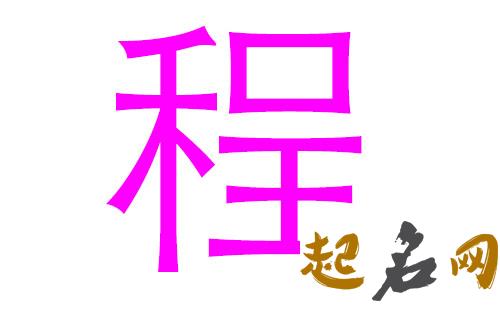 2019程姓猪年男宝宝取名带什么字好 2019女孩程取名