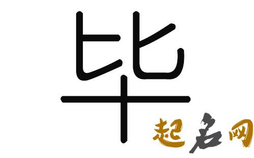 2019毕姓猪年男宝宝取名带什么字好 2019年猪宝宝取名大全