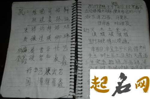 属猪年竺姓五行缺木的男孩起名怎么取 属猪五行缺木的男孩名字