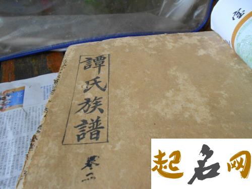 湖南省谭氏家谱文献的收藏情况是怎么样的？ 谈氏家谱